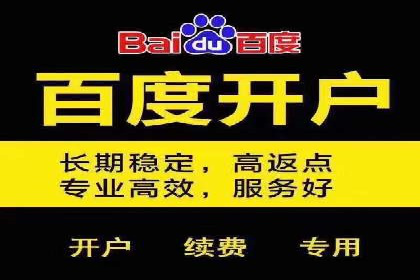 百度SEM推广实战：某品牌迅速崛起